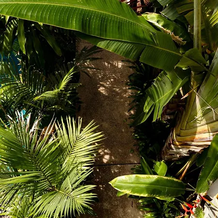 Baahu Villa- Siem Reap